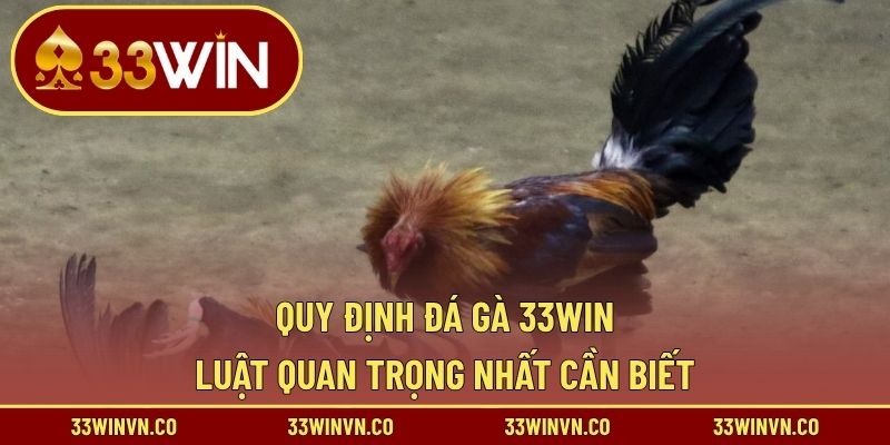 Quy định đá gà