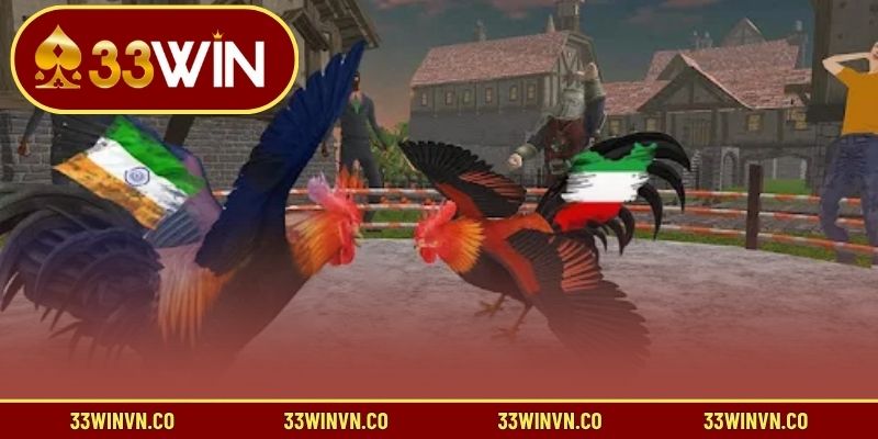 Tìm hiểu về trò đá gà